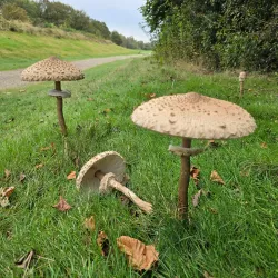 Bestse Golf Club - Best