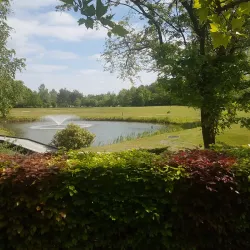 Bestse Golf Club - Best