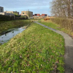 De Dongevallei - Best