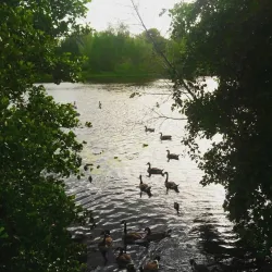 De Dongevallei - Best