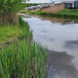 De Dongevallei - Best