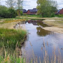 De Dongevallei - Best