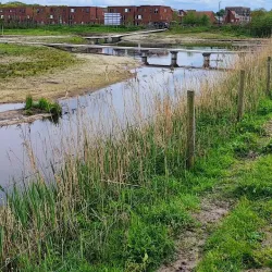 De Dongevallei - Best