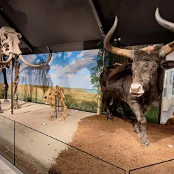 Museum Klok en Peel - Best