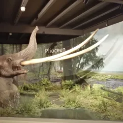 Museum Klok en Peel - Best