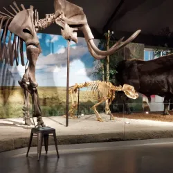 Museum Klok en Peel - Best