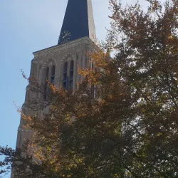 Sint-Petrus' Bandenkerk - Best