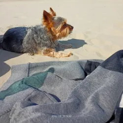 Beverwijk Beach (Wijk aan Zee) - Beverwijk