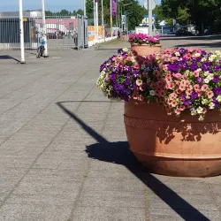 Beverwijk City Hall (Stadhuis Beverwijk) - Beverwijk