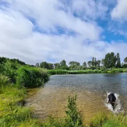 De Duinrand Park - Beverwijk