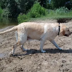 De Duinrand Park - Beverwijk