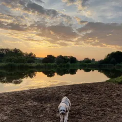 De Duinrand Park - Beverwijk
