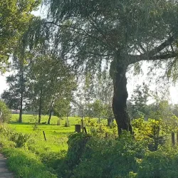 Blaricum Village Center - Blaricum