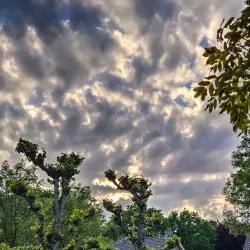 Blaricum Windmill - Blaricum