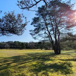 Blaricumse Heide - Blaricum