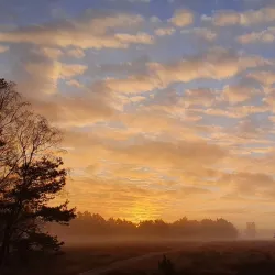 Blaricumse Heide - Blaricum