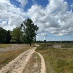 Blaricumse Heide - Blaricum