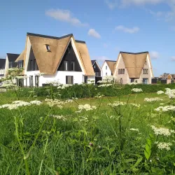 De Blaricummermeent - Blaricum