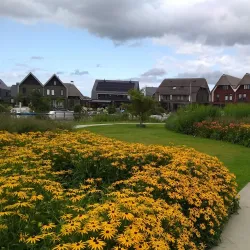 De Blaricummermeent - Blaricum