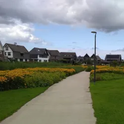 De Blaricummermeent - Blaricum