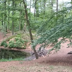 De Lage Vuursche Castle - Blaricum