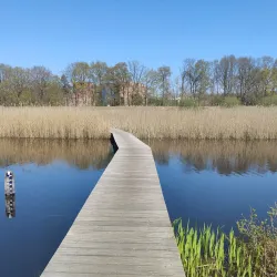 Goois Nature Reserve - Blaricum