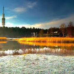 Goois Nature Reserve - Blaricum