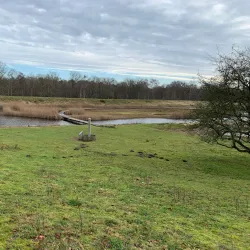 Goois Nature Reserve - Blaricum