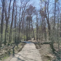 Goois Nature Reserve - Blaricum