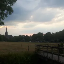 Sint Vitus Church - Blaricum