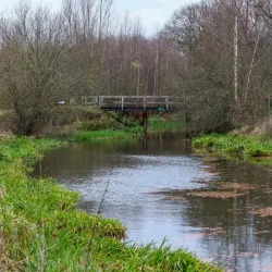 Berkel River Walk - Borculo