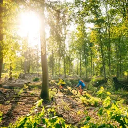 Ruurloseweg Cycling Route - Borculo