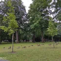 Breda Castle (Kasteel van Breda) - Breda