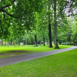 Valkenberg Park - Breda