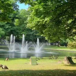 Valkenberg Park - Breda