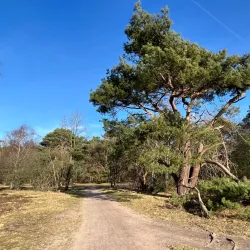 Goois Natuurreservaat - Bussum