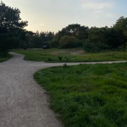 Goois Natuurreservaat - Bussum