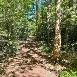 Goois Natuurreservaat - Bussum