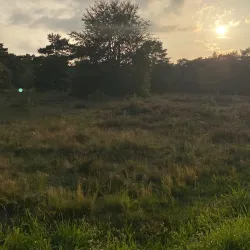 Goois Natuurreservaat - Bussum