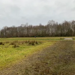 Goois Natuurreservaat - Bussum