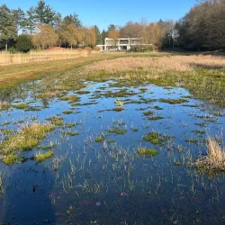 Goois Natuurreservaat - Bussum