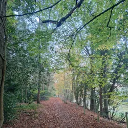 Goois Natuurreservaat - Bussum