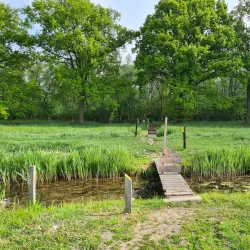 Naardermeer Nature Reserve - Bussum