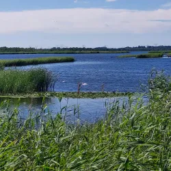 Naardermeer Nature Reserve - Bussum