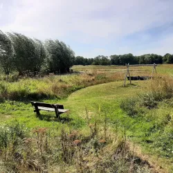 Naardermeer Nature Reserve - Bussum