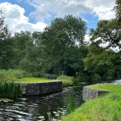 Naardermeer Nature Reserve - Bussum