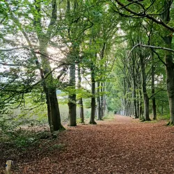 Park Spanderswoud - Bussum