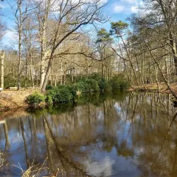 Park Spanderswoud - Bussum