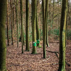 Park Spanderswoud - Bussum