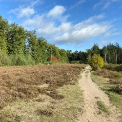 Park Spanderswoud - Bussum
